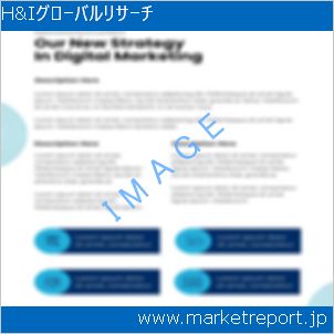 市場と産業調査レポートのイメージ